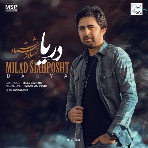 میلاد سیاه پشت دریا